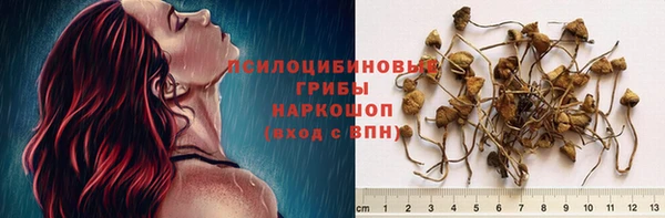 spice Белокуриха