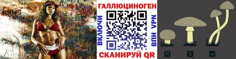 Купить  Иноземцево  Галлюциногенные грибы Magic Shrooms 